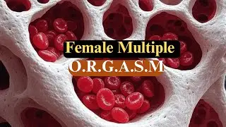 The Secret behind female multiple orgasm | Female Anatomy and Biology