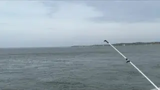 Fishing 🎣 off a bridge in Amelia Island Florida