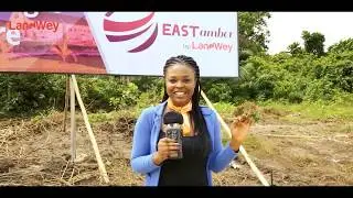 EAST AMBER ESTATE (LANDWEY INVESTMENT )