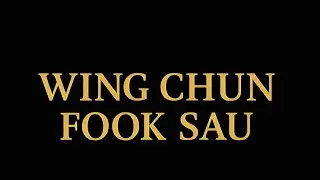 Wing Chun Fook Sau Training 