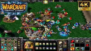 Warcraft III: The Frozen Throne big map 4 vs 3 4K gameplay