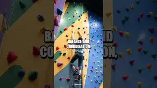 Discover Indoor Rock Climbing for Holistic Health