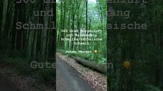 360* Morgenluft | Schmilka S&auml;chsische Schweiz #nature #wandern #360grad #einfachsein #simplelife
