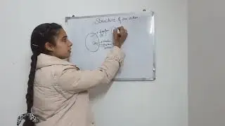 Structure of the atom 2020 | class 9th,11th chemistry | full explanation in hindi| ncert cbse