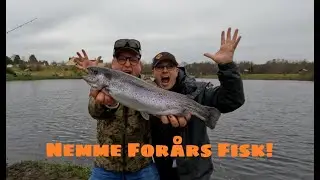 Fang nemme fisk i For&aring;ret, Put and Take Tips og Tricks