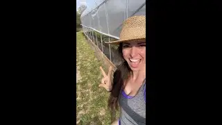 DIY High Tunnel Rollup Sides