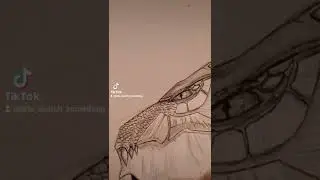 Quick Dragon pencil sketch......... #pencil #draw #dragon #dragonglass #art #sketch #drawing