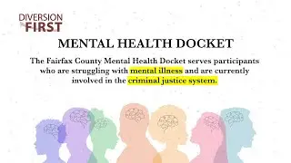 The Fairfax Mental Health Docket