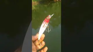 fishing lure different action in underwater 🐠🐟🔥#shorts #fishing