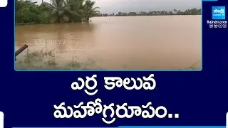 Erra Kaluva: మహోగ్రరూపం..| Heavy Flood Water Tallapalem | Heavy Rains in AP @SakshiTV