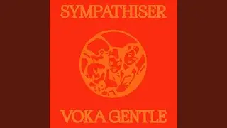 Sympathiser