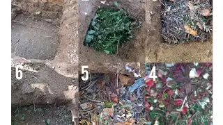 What are the 5 main steps in home composting?