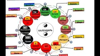 Classical Chinese Medicine.Inner  Energy of  Organs .  Lu and Co Wood Energy .Китайская Медицина