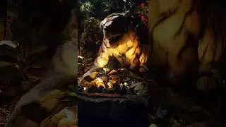 rainforest Cafe animatronic tiger 🐅🐯 #b
