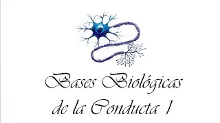 Bases Biológicas de la Conducta 1