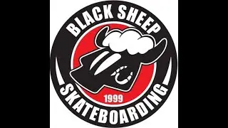 BLACK SHEEP SKATEBOARD: HIST&Oacute;RIA, NOSTALGIA E A OVELHA DO LOGO  VOC&Ecirc;S SE LEMBRAM DA Black Sheep Skat