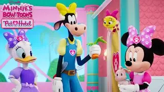 Minnie's Bow-Toons: Pet Hotel S09E09 Funny Bunnies | Disney | Season 9 | TV Series Episode Review
