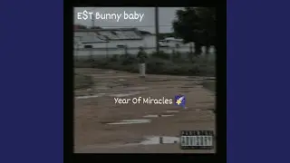 Year Of Miracles