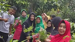 Praktek pemanfaatan sampah - budidaya pekarangan untuk ketahanan pangan keluarga #alppind #kalbar