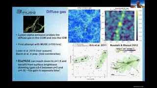 BlueMUSE: Blue Optical IFU for VLT - Johan Richard