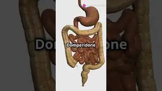 Cyra D capsule #facts #medicine #viralshorts #youtubeshorts #doctor