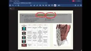 Primer examen CEPREVAL ciclo C 2026 (curso de Anatom&iacute;a)