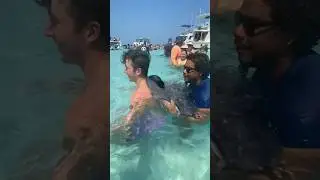 Swimming With Stingrays In Mexico!