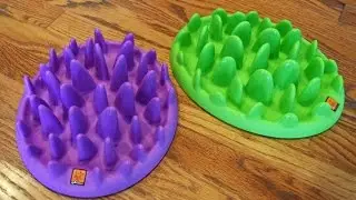 Interactive Feeders for Dogs and Cats