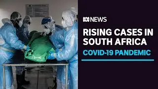 Rising COVID-19 cases, limited staff push South Africa's hospitals to brink of collapse | ABC News