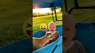 Maa 😜 Maa 🤪 #shorts #youtubeshorts #animaltiktok #tiktok