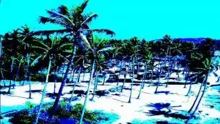Abstrus Freecore - India Absreeco