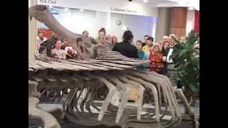 The Science of SuperCroc at Gail Borden Library