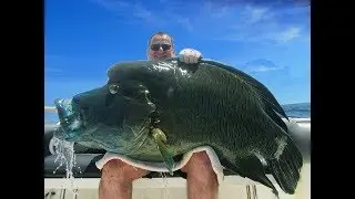 Emeraude Fishing - Popping & Jigging - X-trem - Season 2018