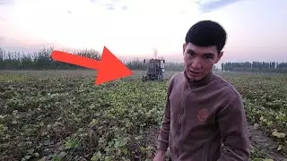 Mosh karchopka sotiladi tayyor xolatda mosh o'rib berish xizmati ham bor O'zbekiston boylab