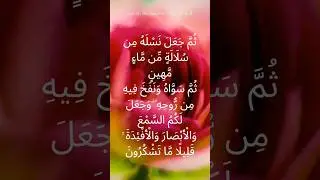 Daily Islamic Guidance|Surah As-Sajdah Ayat {8-9} With Urdu/English Translation #shorts_ #dailyquran