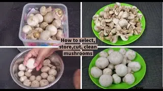 காளான் சுத்தம் செய்வது எப்படி|How to select, store,cut, clean mushrooms|Mushroom Cleaning in Tamil