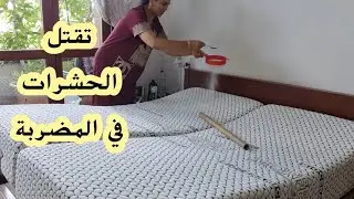 كيف تنظفي ناموسية غرقة النوم بدون ماء لإزالة جميع الميكروبات والحشرات