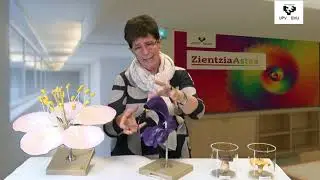 Biodibertsitatea eta eboluzioa/Biodiversidad y evoluci&oacute;n