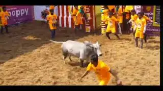 C M Gold prize kalai #Jallikkattu 2026 #Alanganallur Jallikkattu# ஜல்லிக்கட்டு 2026