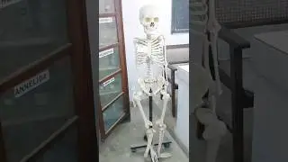 Zoology Lab #shorts #viral #youtubeshorts