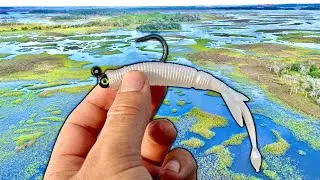 CHASING FLORIDA REDFISH IN INCHES OF WATER!