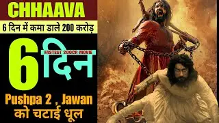 Chhaava Collection Day 6 | Chhaava Box Office Collection #chhaava #trending #vickykaushal