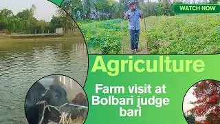 Bolbari Judgebari Farm Visit | Cow Farm 🐄 & Fish Pond 🐟 | Agriculture Vlog Bangladesh