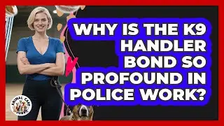 Why Is The K9 Handler Bond So Profound In Police Work? - Animal Care Jobs
