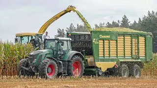 Kukurydza Na Kiszonkę 2020 z Firmą 