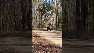 Suzuki 800DE Dominator Exhaust 🔥 Real Sound Clip