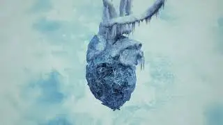 Signs of the Swarm - 'Amongst the Low & Empty' Album Teaser