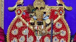 सांवरिया सेठ की आरती सुबह की 🙏#sanwariyaseth #bhakti #viralvideo 