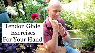 Tendon Glide Exercises For Your Hand
