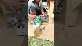 cylinder valve Leak testing (Suzuki f6a engine) #eddieweld #mechanic #mechanic